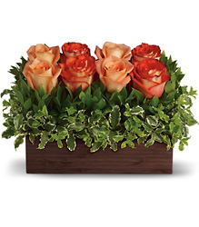 Uptown Bouquet Cottage Florist Lakeland Fl 33813 Premium Flowers lakeland
